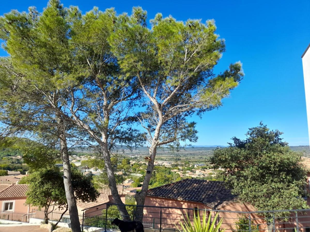 Studio Du Roc Des Garrigues Langlade エクステリア 写真