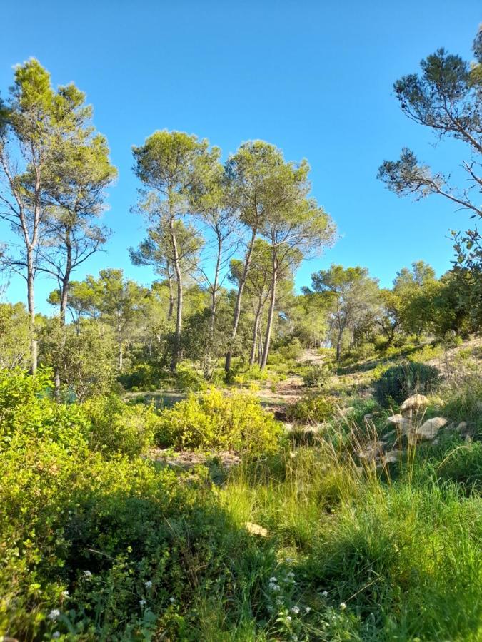 Studio Du Roc Des Garrigues Langlade エクステリア 写真